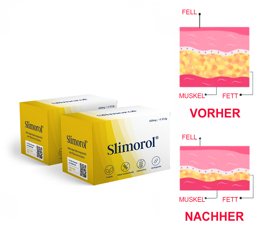 Europäisches Gesundheitsministerium