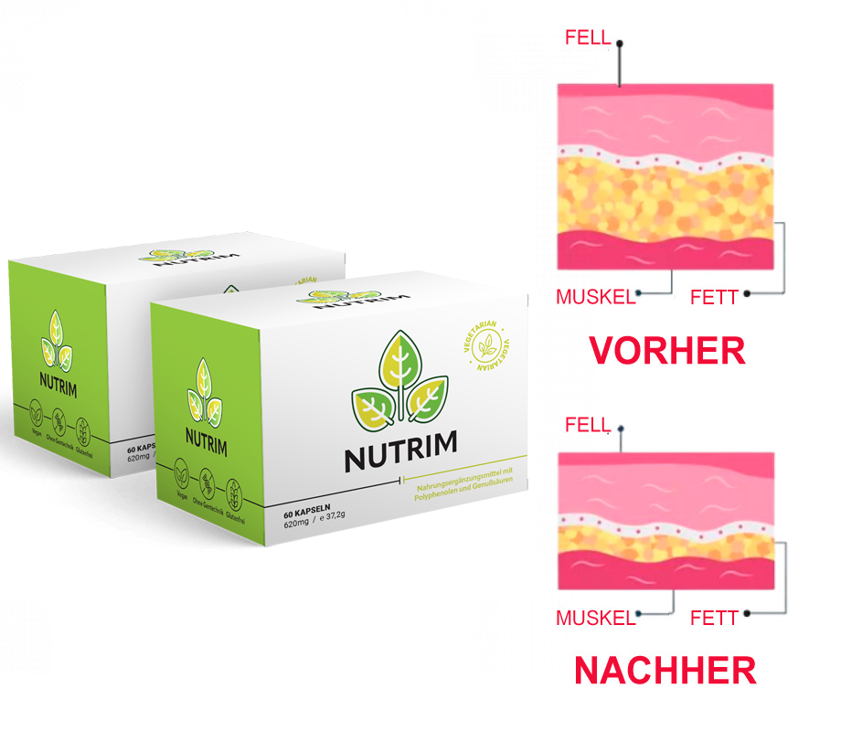 Europäisches Gesundheitsministerium