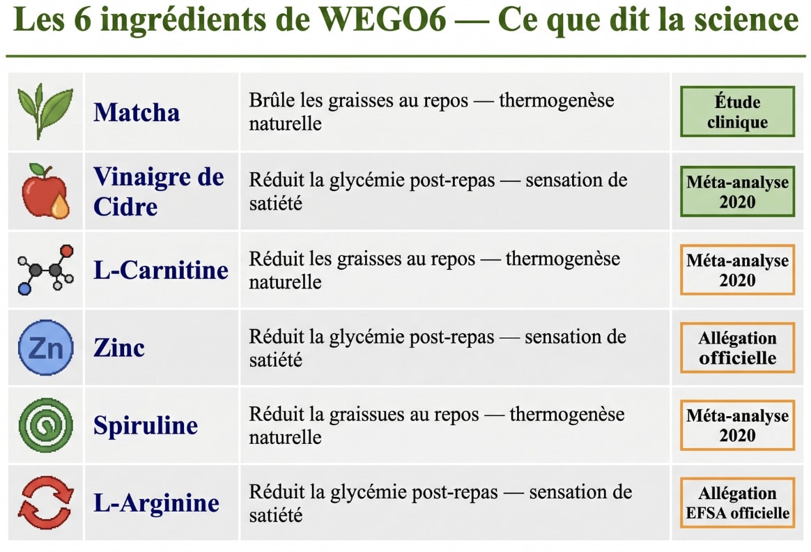 Les 6 actifs naturels WEGO6